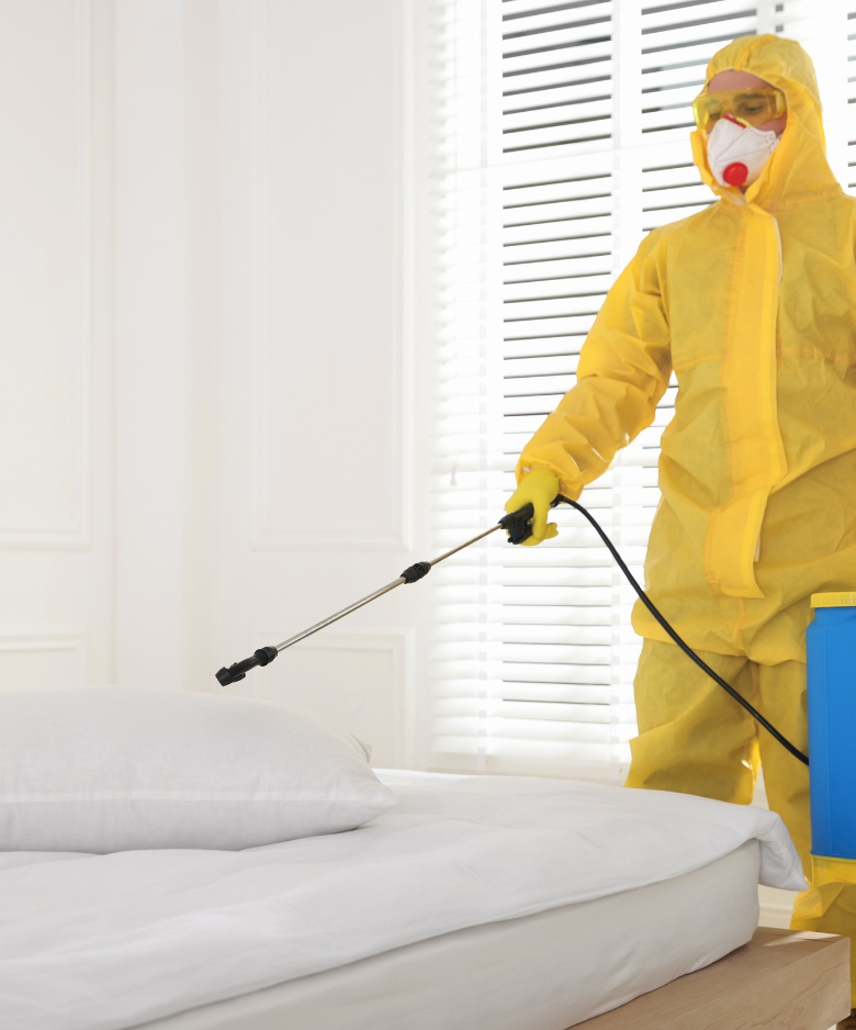 Professional Pest Control Team in Brooklyn Park